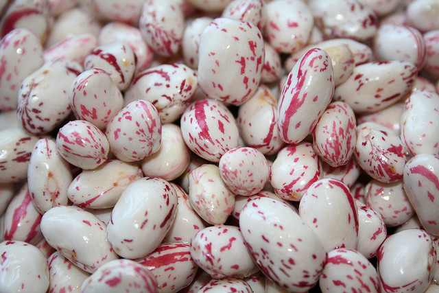 Loose Cranberry beans