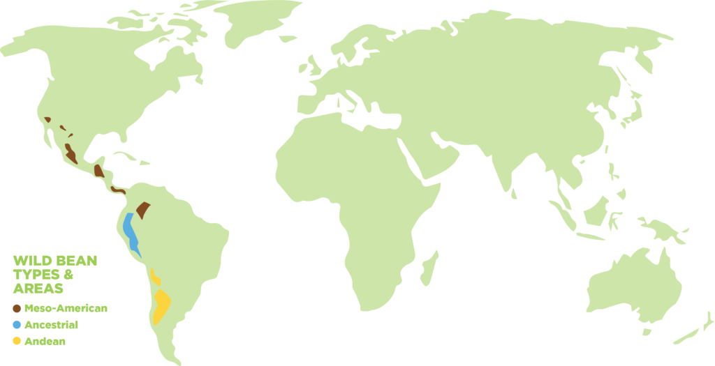 A map showing where beans are grown.