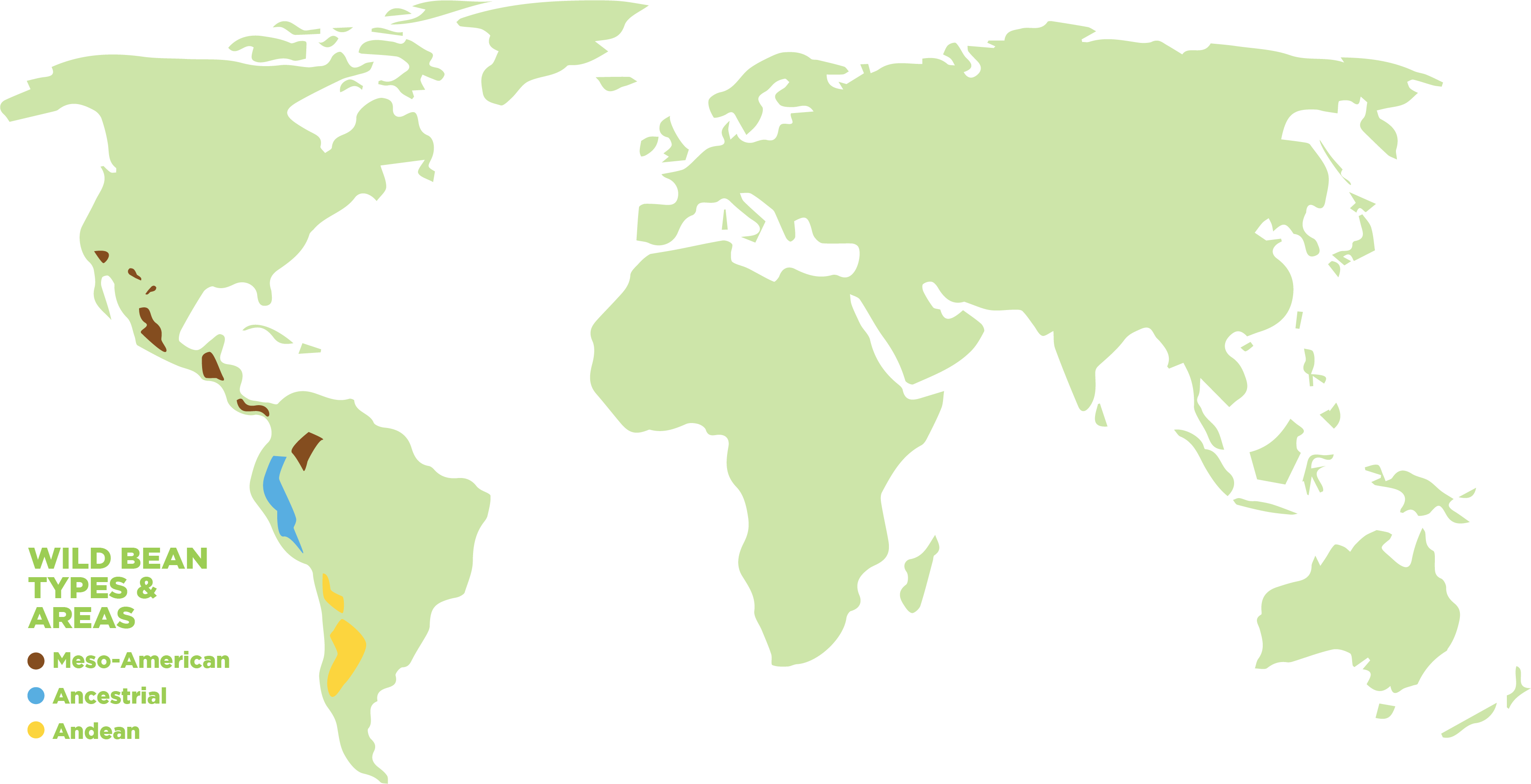 bean world map