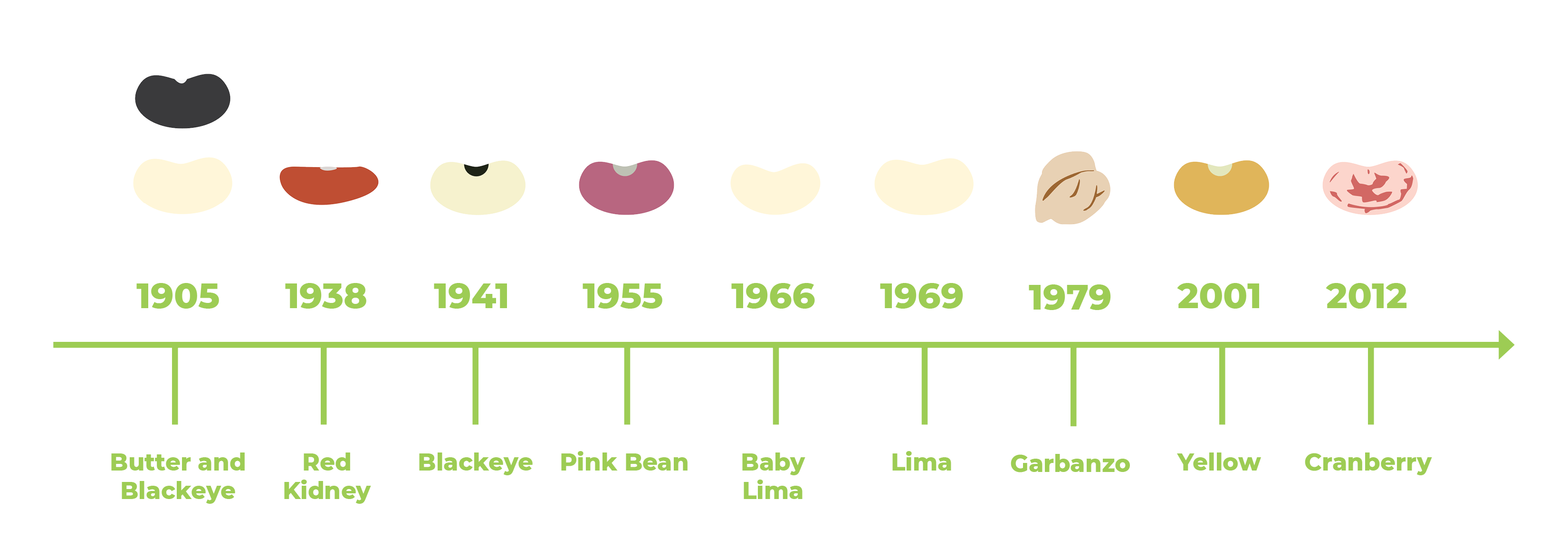 bean-innovation-timeline