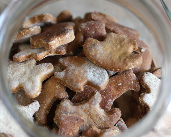 dog treats